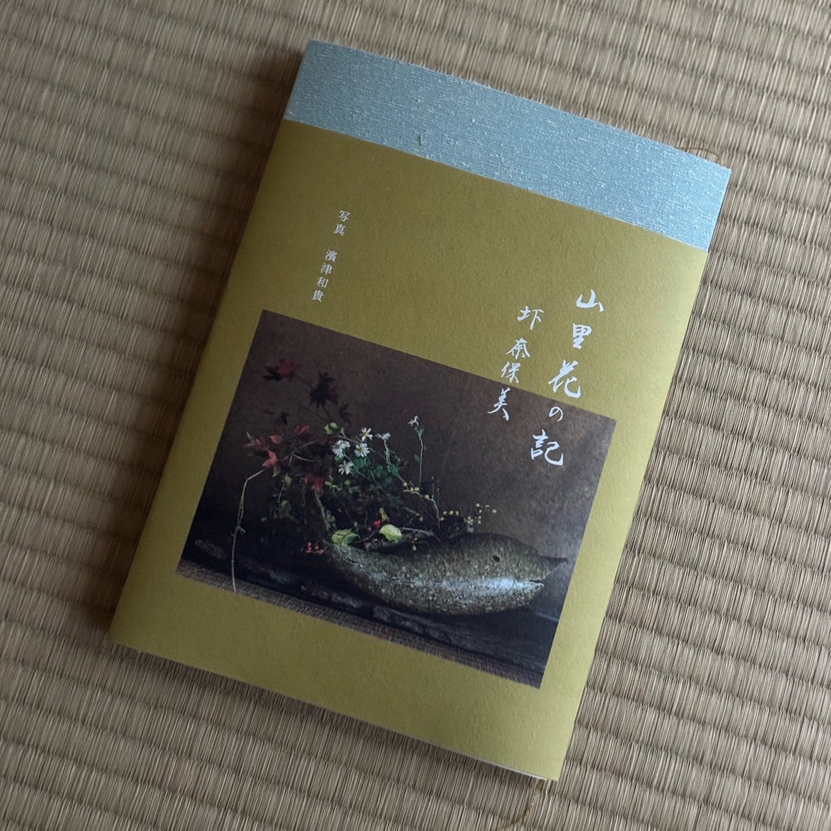 山里花の記 vol.1／圷 奈保美 写真：濱津和貴（2024／12／20刊